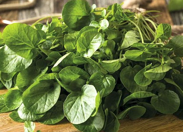 Image of Watercress summer greens to grow