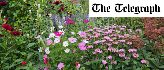 Telegraph Garden Offers